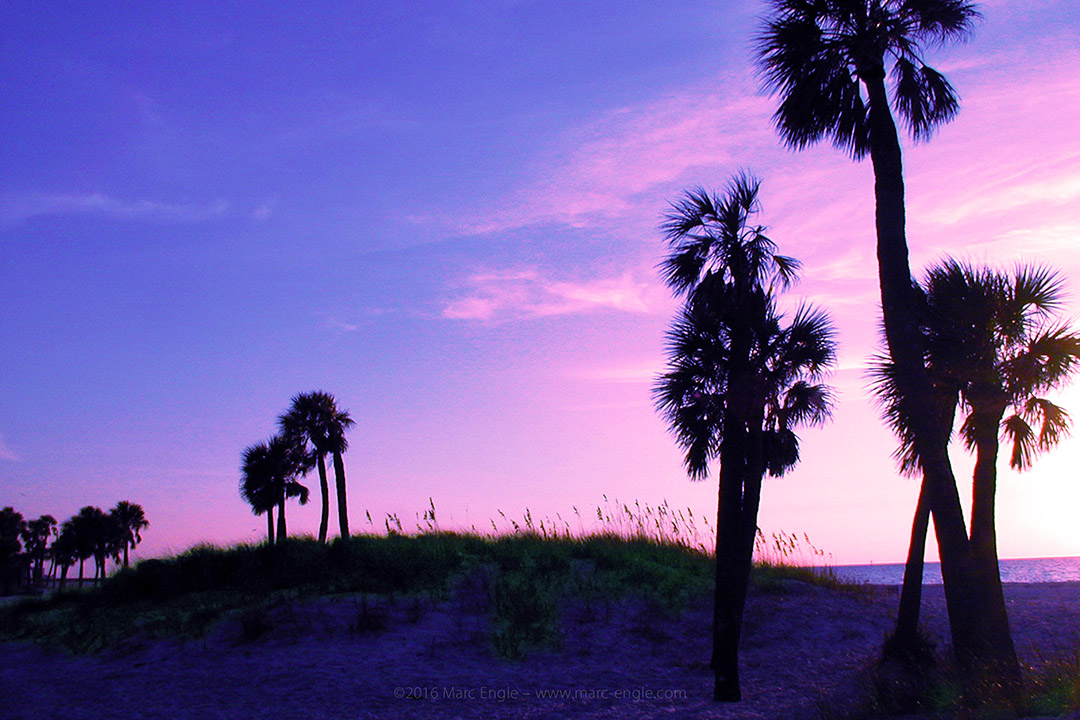 Diamond Isle, Florida – Palm Trees at Sunset