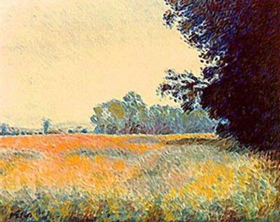 Monet Field