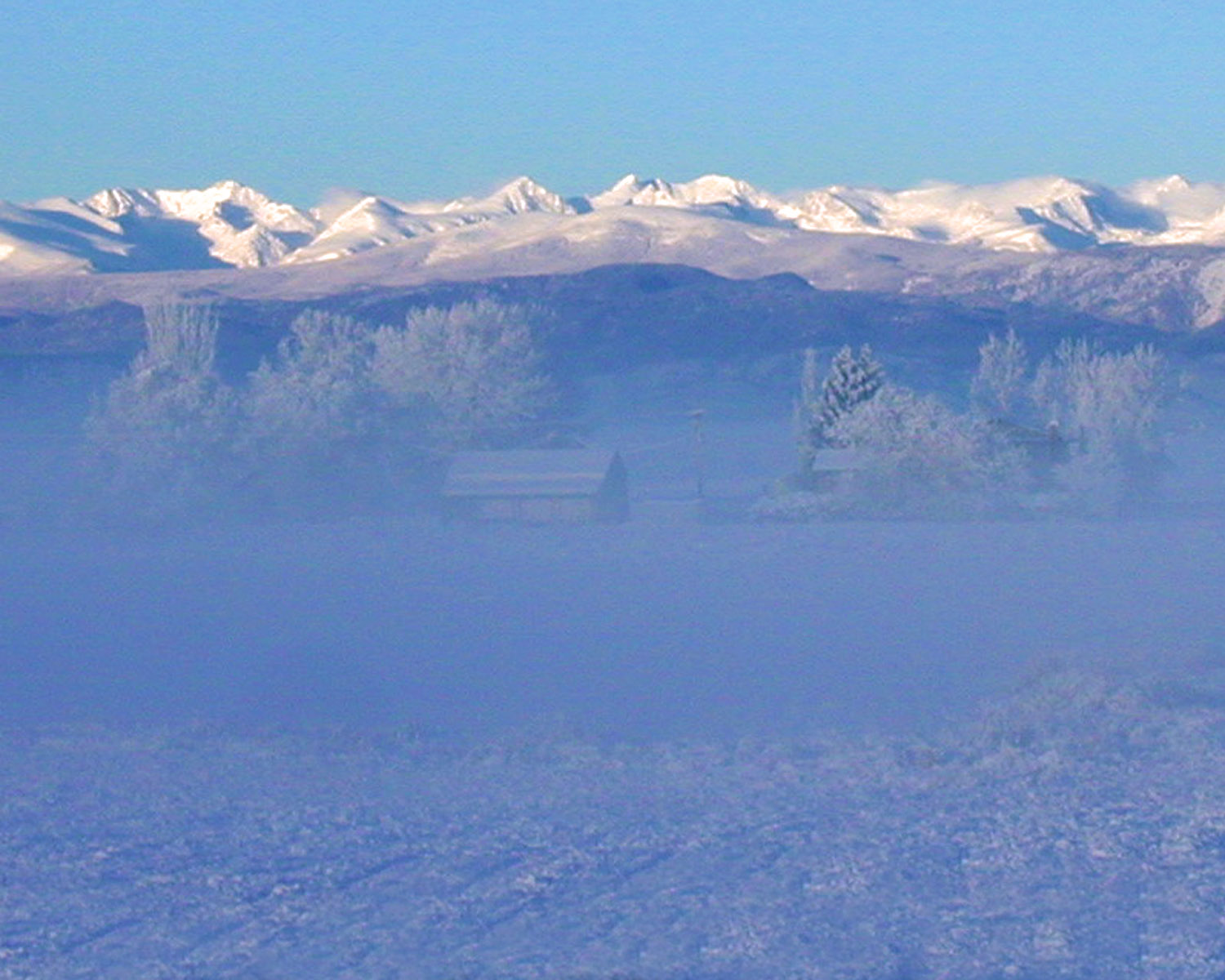 Front range snowy morning
