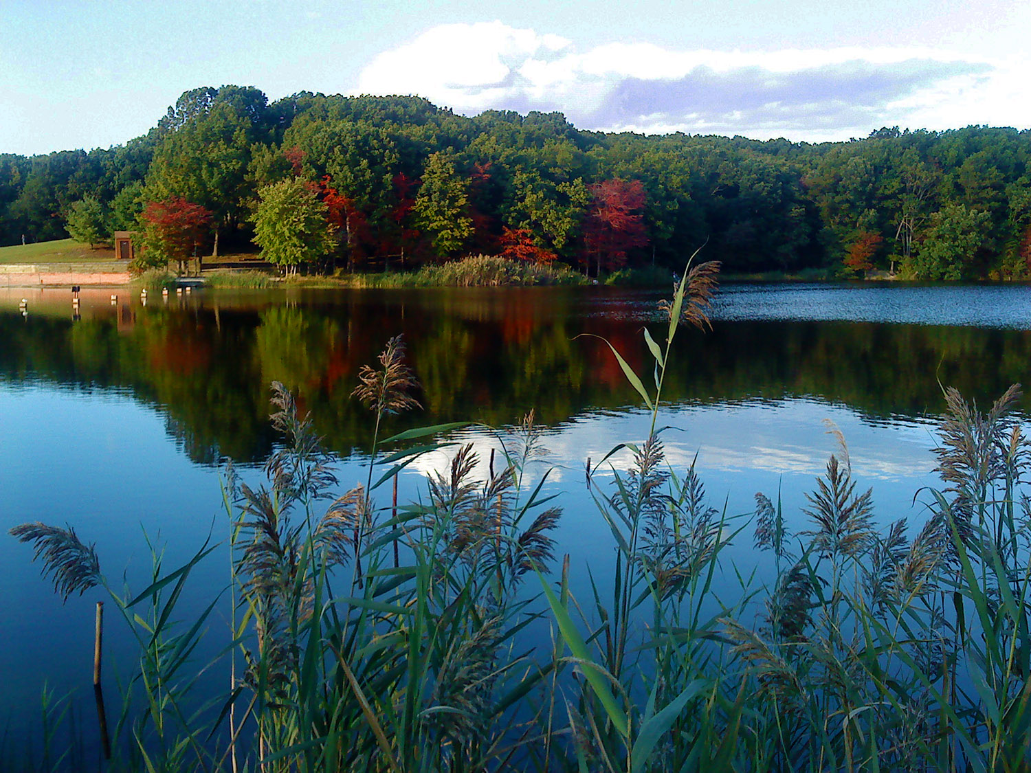 Photograph of Hooks Pond, New Jersey